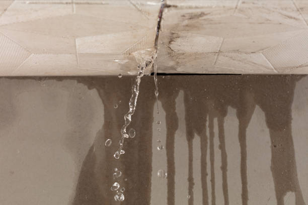 Professional Burst Pipe Cleanup technician working in New Prague, MN